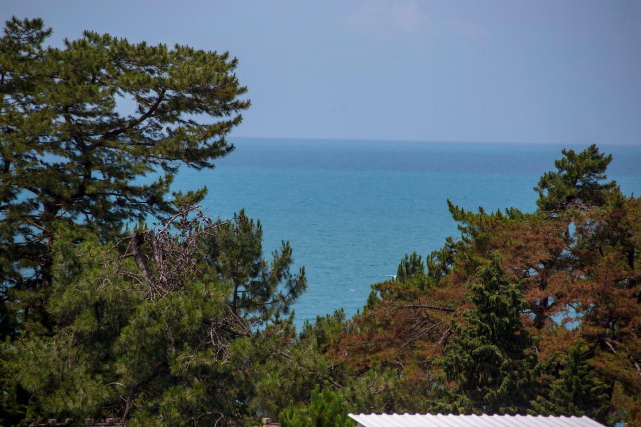 Chveni Ezo Boutique Hotel Kobuleti Exteriér fotografie